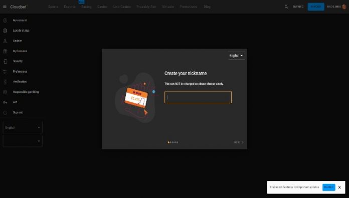 Creating a nickname at Cloudbet casino